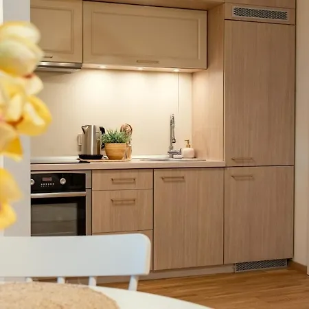 Butas Cozy Roomita Vilnius